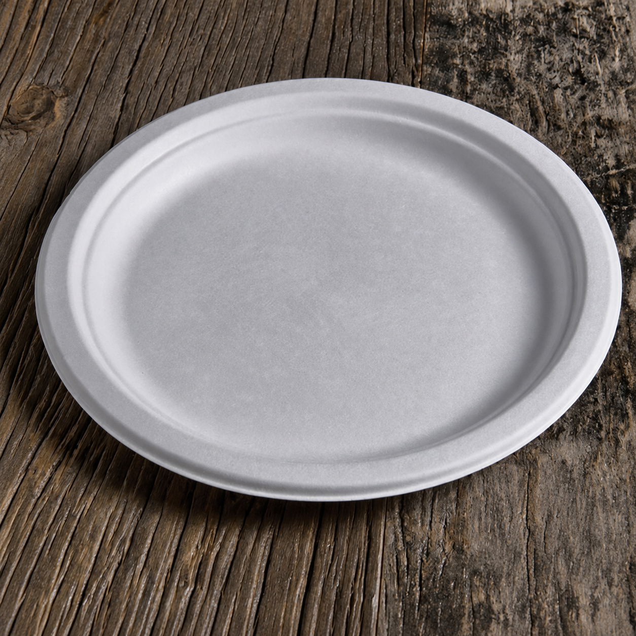 Piatti piani in polpa di cellulosa 22 cm - 50 pz